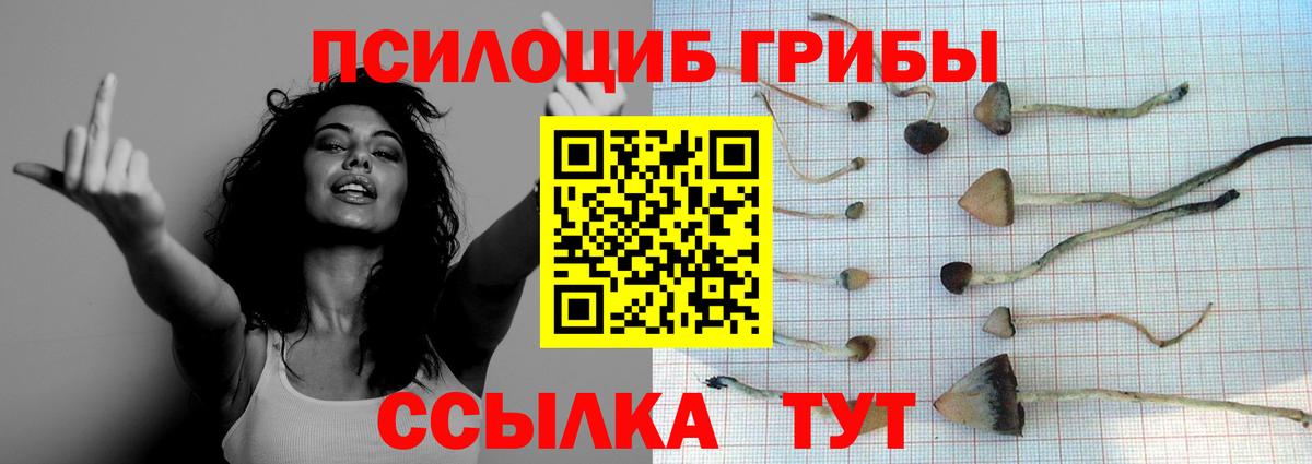 Псилоцибиновые грибы Cubensis  продажа наркотиков  Полысаево  Вход с VPN 